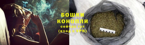 спайс Мегион