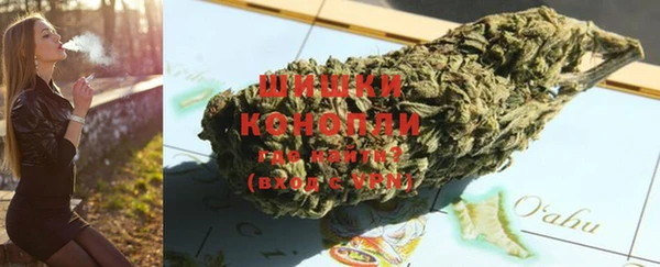 дмт Алзамай