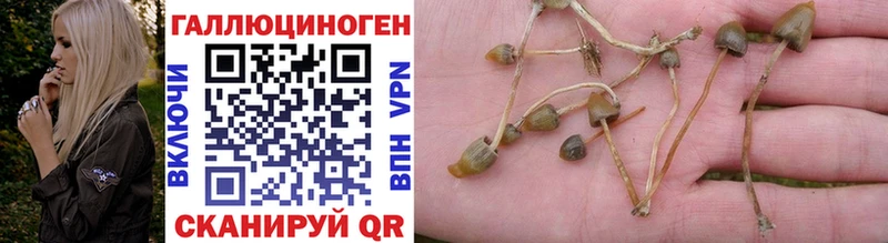 даркнет сайт  Югорск  Галлюциногенные грибы Psilocybe 