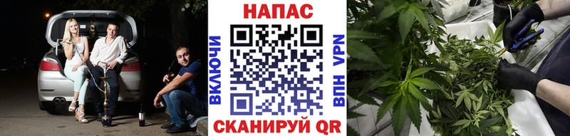Конопля гибрид Югорск